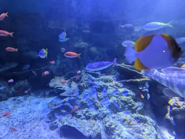 横浜・八景島シーパラダイスに投稿された画像（2024/1/5）