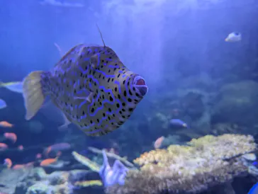 横浜・八景島シーパラダイスに投稿された画像（2024/1/5）