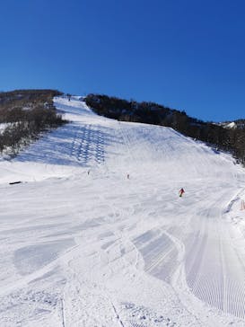 一般社団法人湯沢町観光まちづくり機構に投稿された画像（2024/1/5）