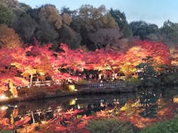 名古屋市東山動植物園に投稿された画像（2024/1/5）