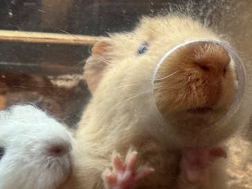 伊豆シャボテン動物公園に投稿された画像（2024/1/5）