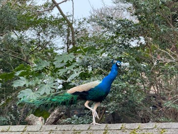 伊豆シャボテン動物公園に投稿された画像（2024/1/5）