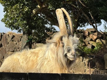 伊豆シャボテン動物公園に投稿された画像（2024/1/5）