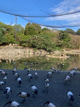 ネオパークオキナワに投稿された画像（2024/1/5）