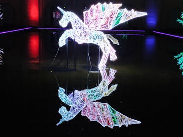 神戸イルミナージュに投稿された画像（2024/1/5）