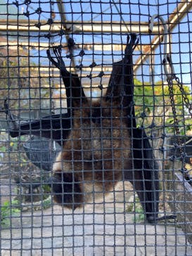 沖縄こどもの国に投稿された画像（2024/1/6）