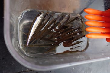 NaturaBaseに投稿された画像（2024/1/6）