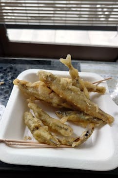 NaturaBaseに投稿された画像（2024/1/6）