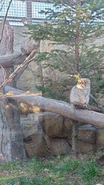 那須どうぶつ王国に投稿された画像（2024/1/6）