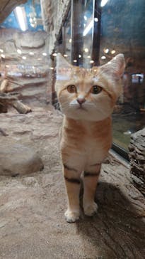 那須どうぶつ王国に投稿された画像（2024/1/6）