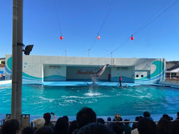 南知多ビーチランド＆南知多おもちゃ王国に投稿された画像（2024/1/6）