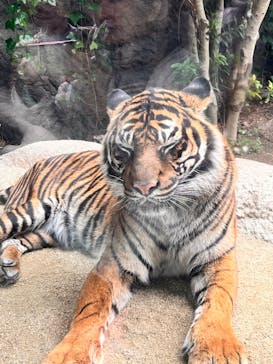 神戸どうぶつ王国に投稿された画像（2024/1/6）