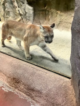 神戸どうぶつ王国に投稿された画像（2024/1/6）