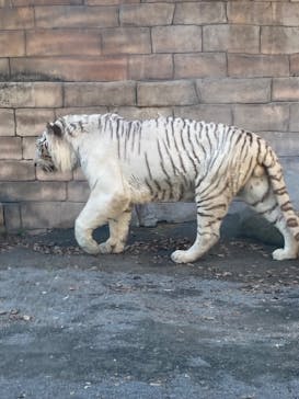 東武動物公園に投稿された画像（2024/1/6）