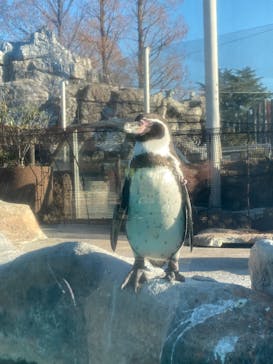 東武動物公園に投稿された画像（2024/1/6）