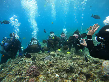 武藤潜水に投稿された画像（2024/1/6）