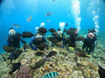 武藤潜水に投稿された画像（2024/1/6）