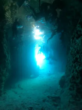 武藤潜水に投稿された画像（2024/1/6）