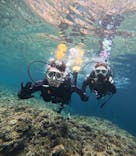 青の洞窟専門店　沖縄ダイビングショップ和に投稿された画像（2024/1/6）