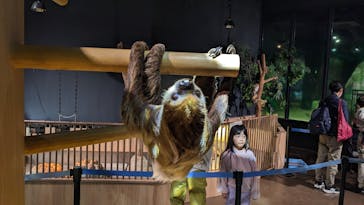 DMMかりゆし水族館に投稿された画像（2024/1/6）