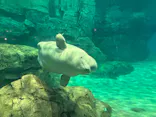 名古屋港水族館に投稿された画像（2024/1/6）