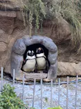 サンシャイン水族館に投稿された画像（2024/1/6）