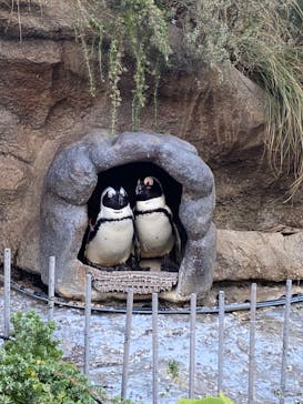 サンシャイン水族館に投稿された画像（2024/1/6）