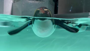 AOAO SAPPOROに投稿された画像（2024/1/6）