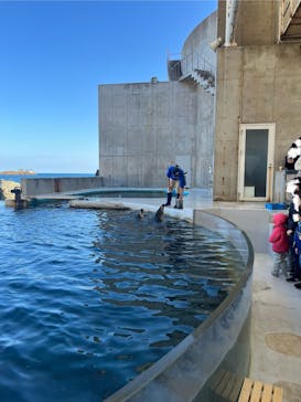 城崎マリンワールドに投稿された画像（2024/1/6）