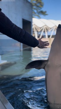 城崎マリンワールドに投稿された画像（2024/1/6）