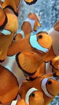 鴨川シーワールドに投稿された画像（2024/1/6）