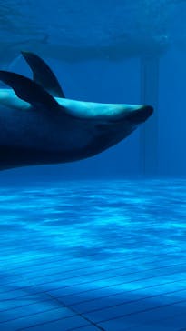 鴨川シーワールドに投稿された画像（2024/1/6）