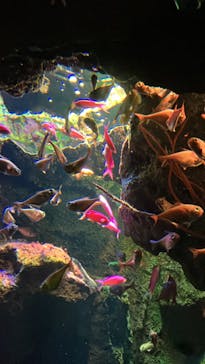 鴨川シーワールドに投稿された画像（2024/1/6）