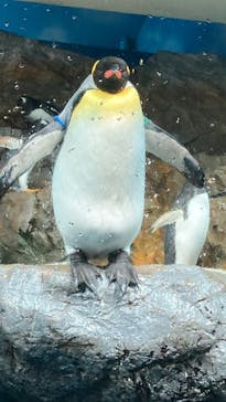 鴨川シーワールドに投稿された画像（2024/1/6）