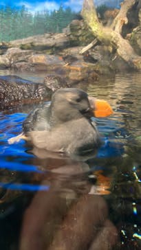 鴨川シーワールドに投稿された画像（2024/1/6）