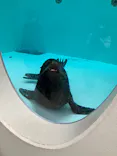 天王寺動物園に投稿された画像（2024/1/6）