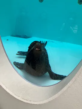 天王寺動物園に投稿された画像（2024/1/6）