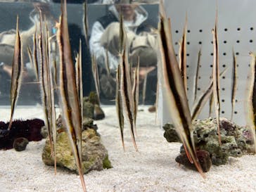 AOAO SAPPOROに投稿された画像（2024/1/6）