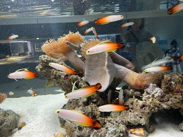 AOAO SAPPOROに投稿された画像（2024/1/6）