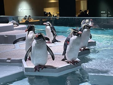 AOAO SAPPOROに投稿された画像（2024/1/6）