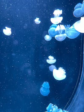 AOAO SAPPOROに投稿された画像（2024/1/6）