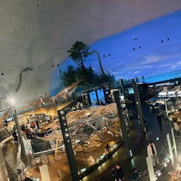 福井県立恐竜博物館に投稿された画像（2024/1/6）