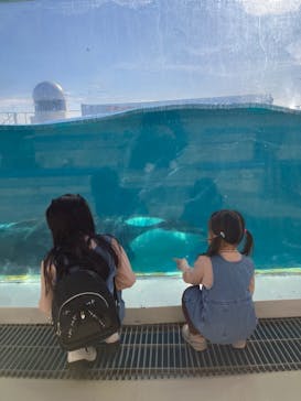 鴨川シーワールドに投稿された画像（2024/1/6）