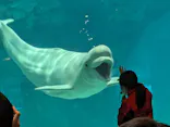 名古屋港水族館に投稿された画像（2024/1/6）