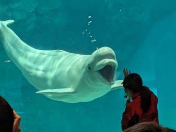 名古屋港水族館に投稿された画像（2024/1/6）