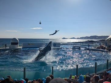 鴨川シーワールドに投稿された画像（2024/1/6）