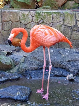 伊豆シャボテン動物公園に投稿された画像（2024/1/6）