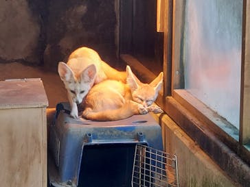 伊豆シャボテン動物公園に投稿された画像（2024/1/6）