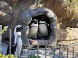 サンシャイン水族館に投稿された画像（2024/1/6）