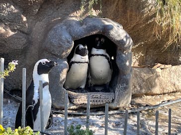 サンシャイン水族館に投稿された画像（2024/1/6）